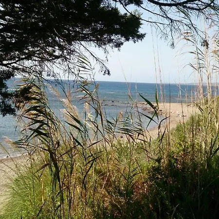 Alisahni Beachfront Villa *